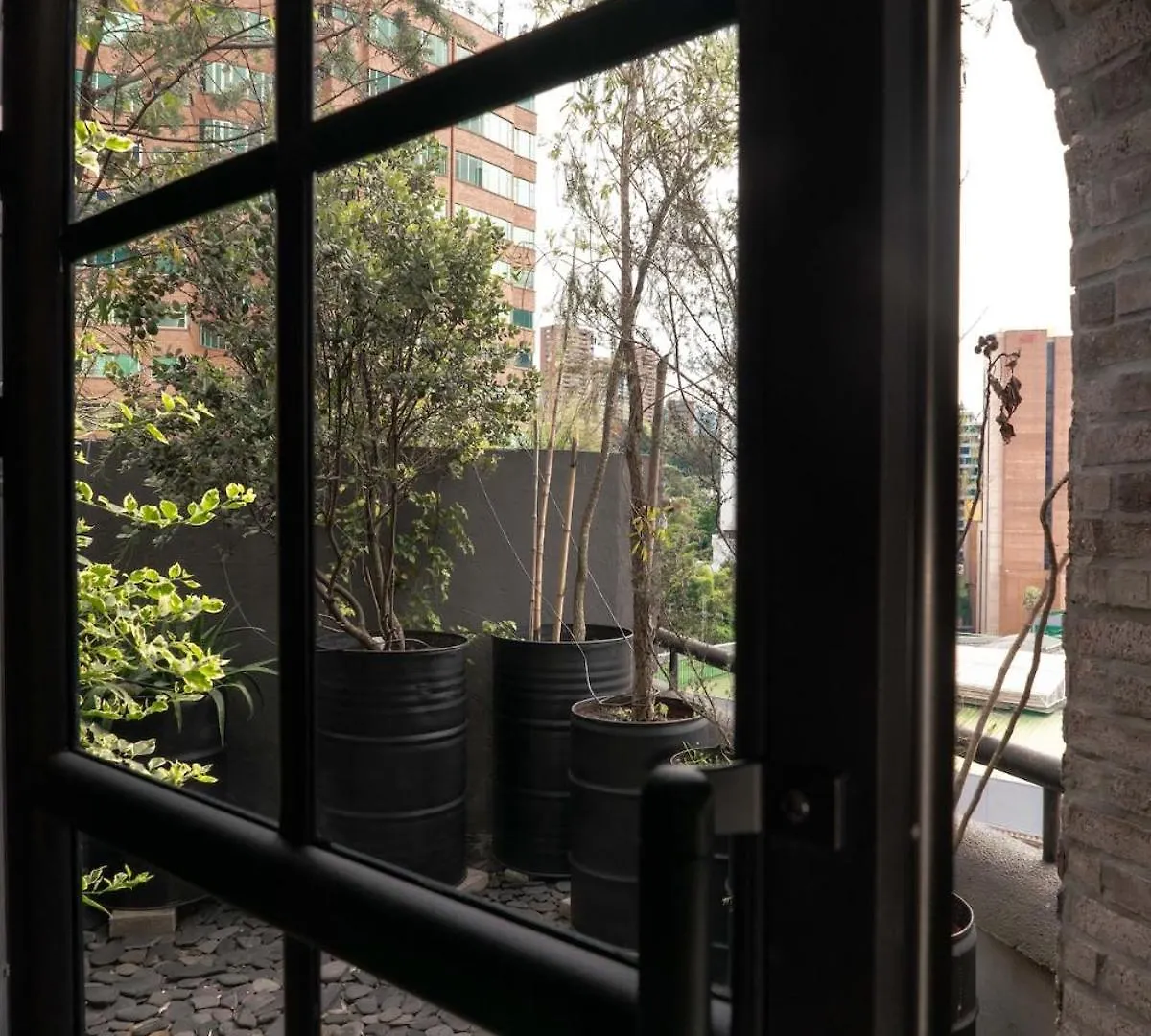 Vive Pisoverde - A Loft With A Green Soul Medellin Apartment